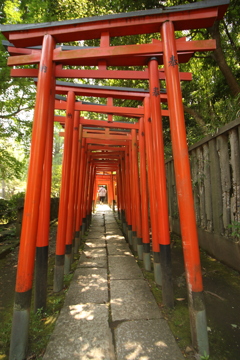 根津神社＿鳥居