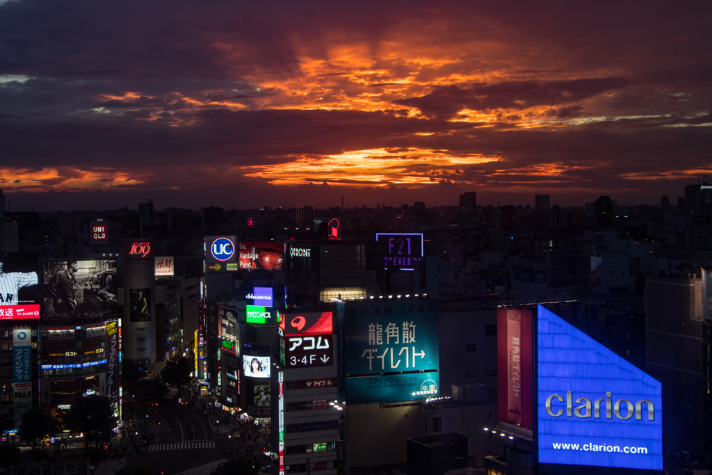 ヒカリエ＿夕焼け