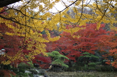 日比谷公園・錦秋