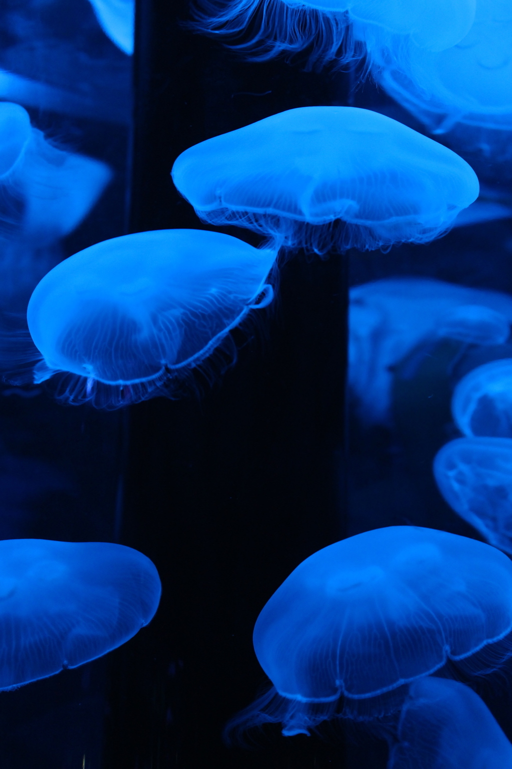 20150814_0095