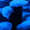 20150814_0096