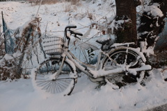 昨夜からかな？