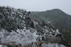 山は雪の中
