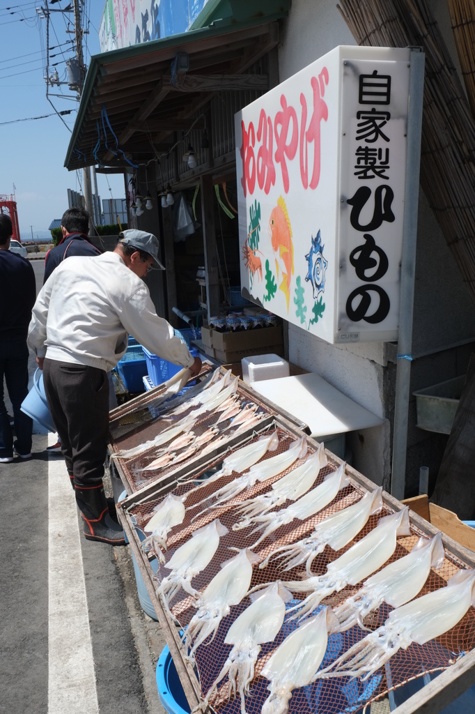 おみやげイカが？