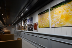 車内はギャラリー①