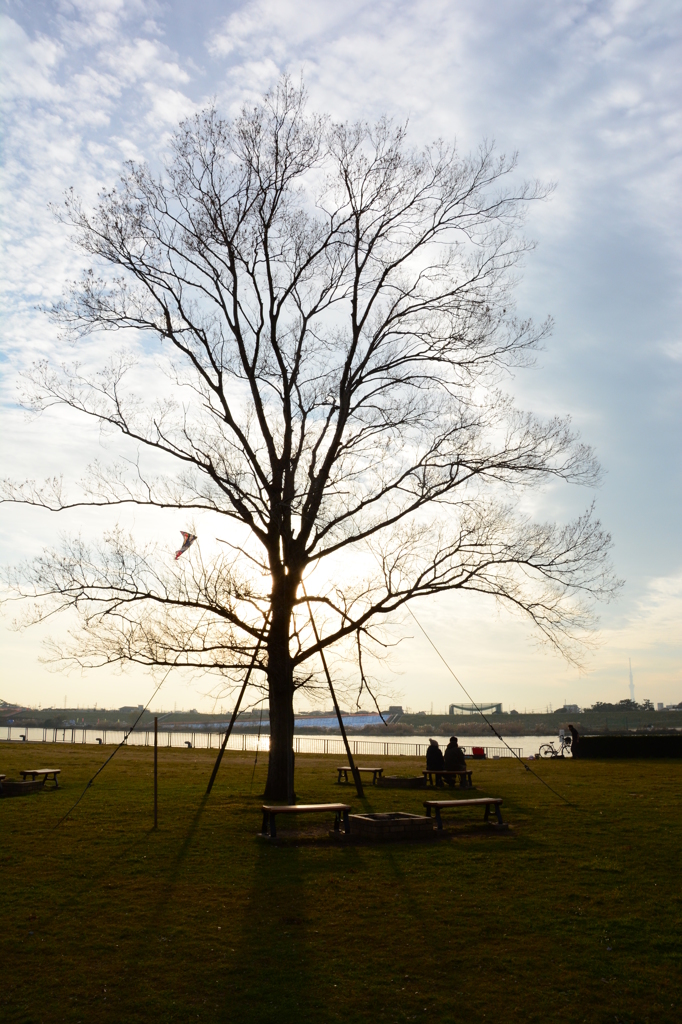 西日に包まれて