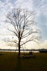 西日に包まれて