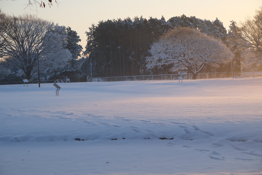 縄文貝塚雪景色２