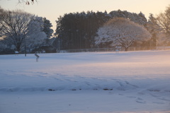 縄文貝塚雪景色２