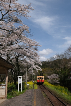 小駅春爛漫