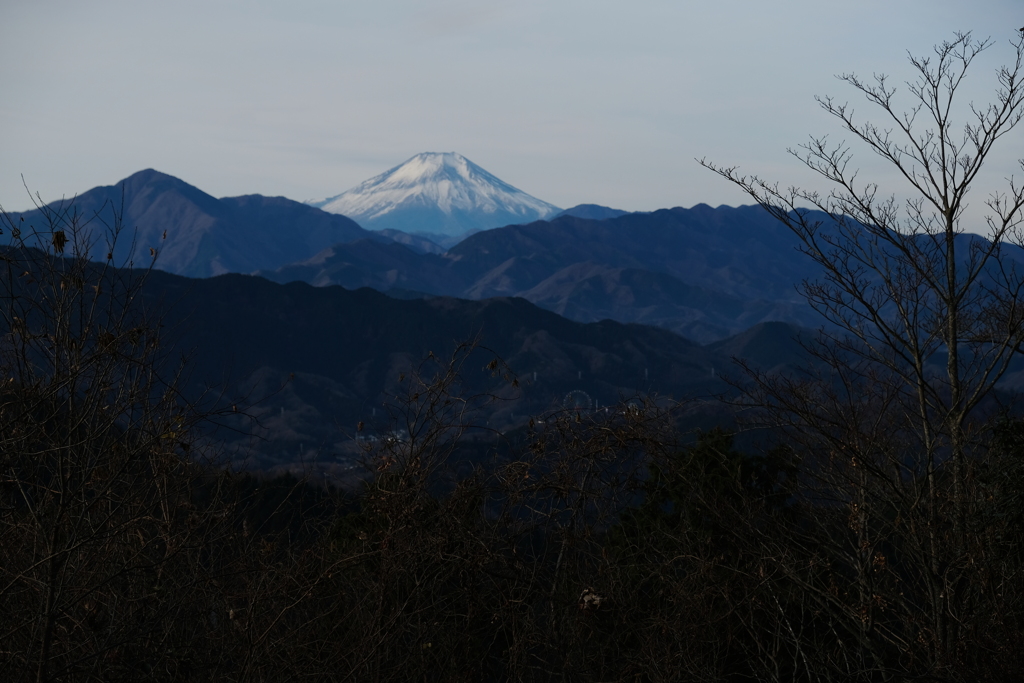 今朝の高尾山より