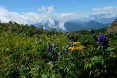 花園