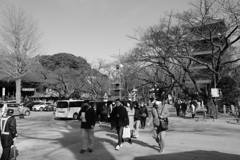 今年はいいことあるといいね１