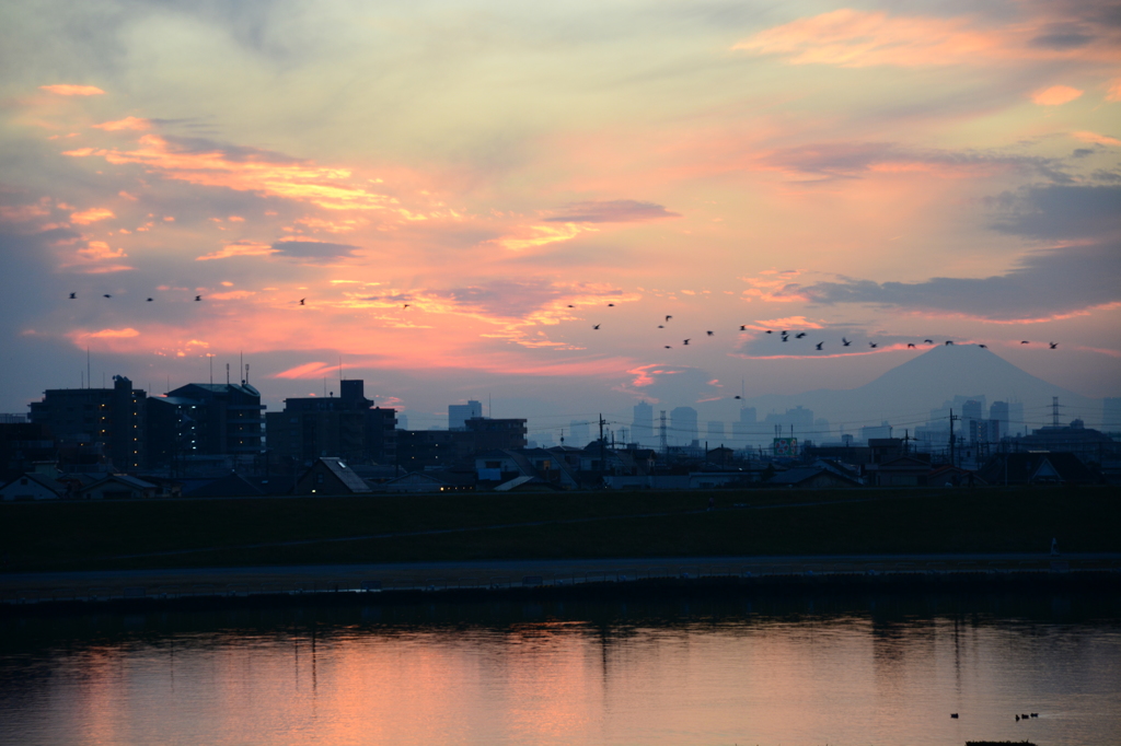ねぐらに帰ろう