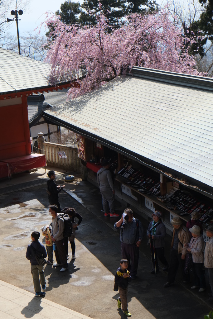 陽気に誘われて
