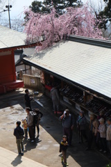 陽気に誘われて