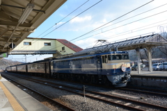 本日のお目当て