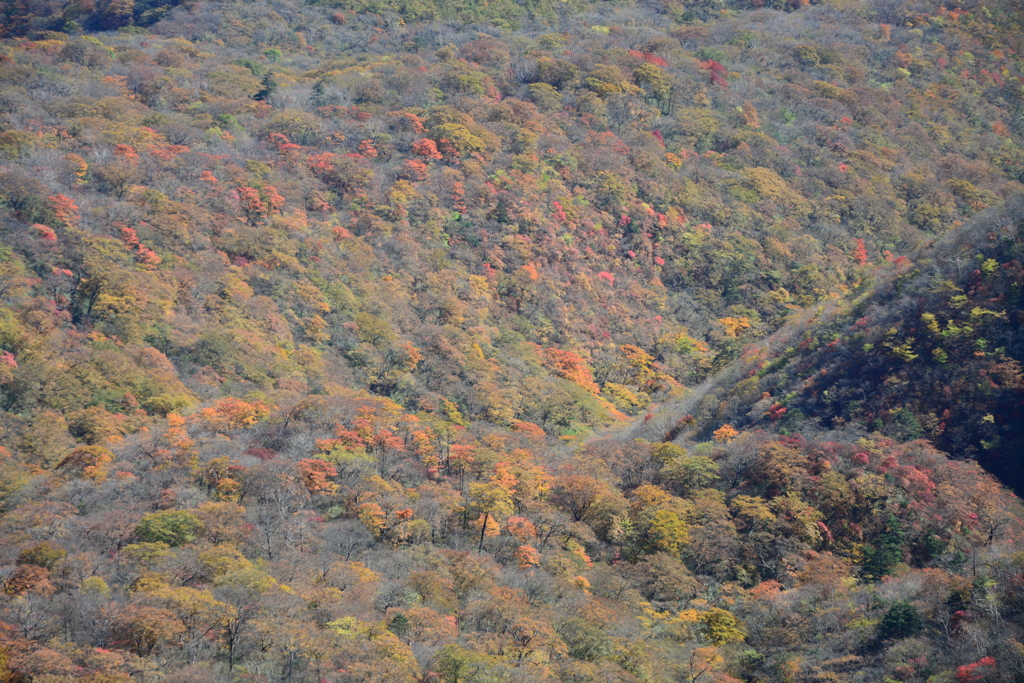 グラデーション
