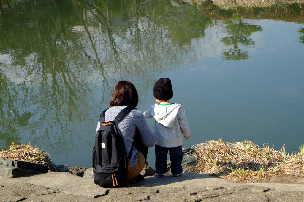 お池大きいね