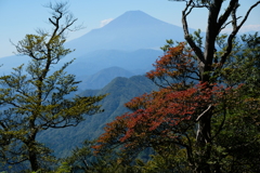 秋の丹沢