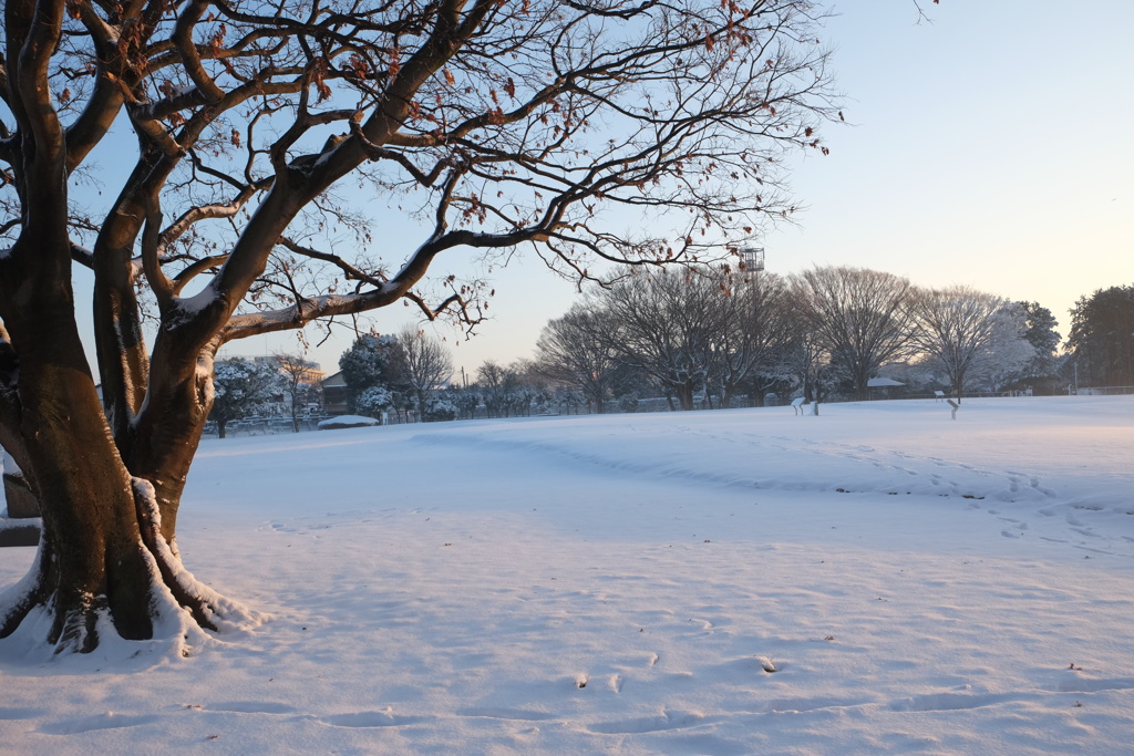 縄文貝塚雪景色１