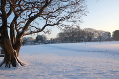 縄文貝塚雪景色１