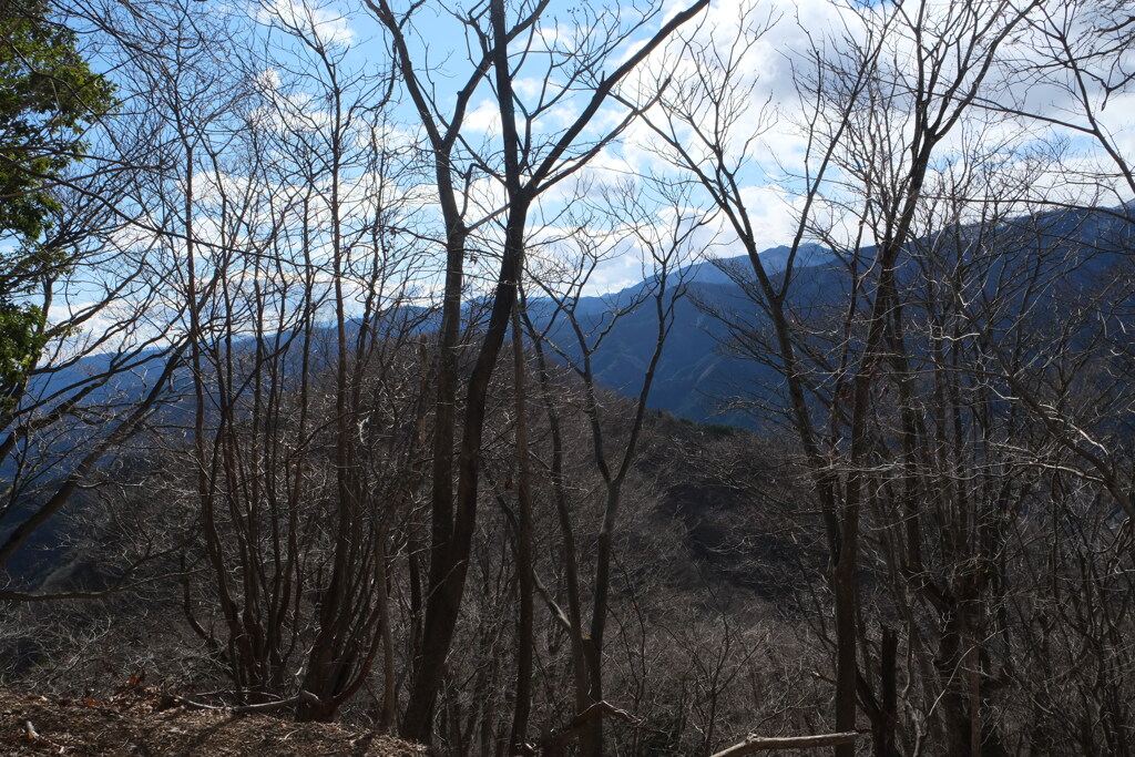 冬枯れ