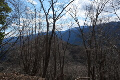 冬枯れ
