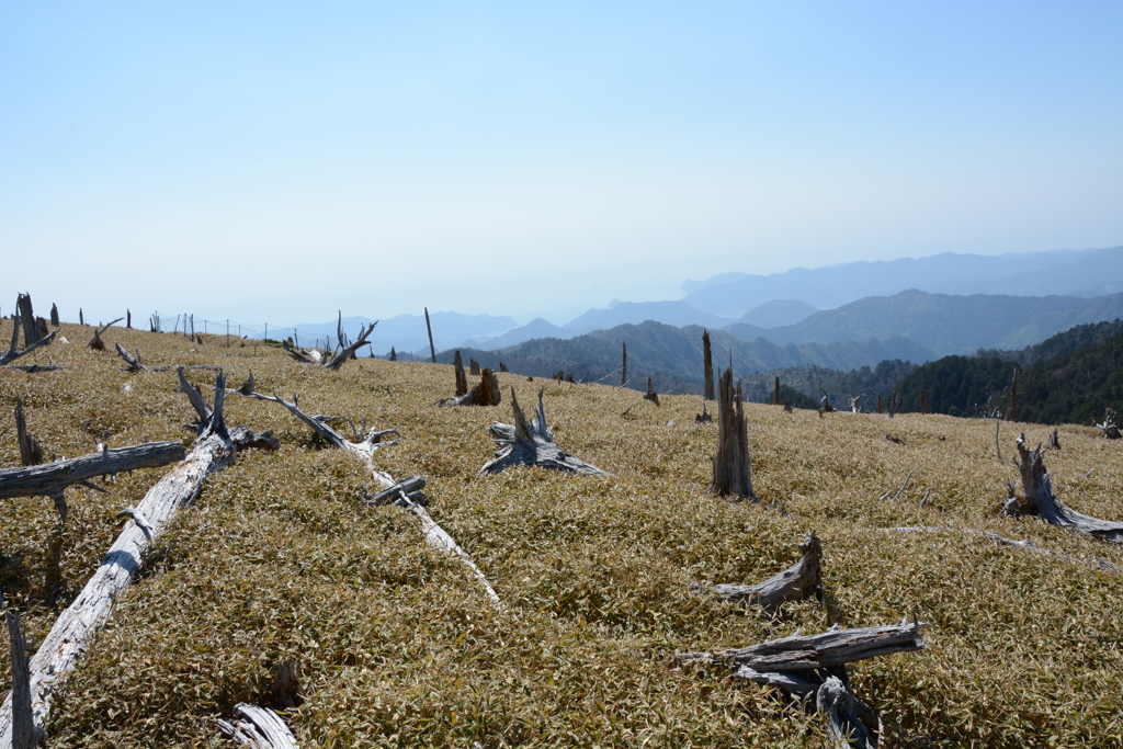 大台ケ原をゆく