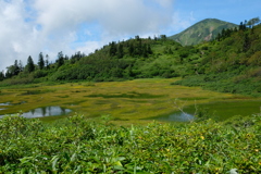 晩夏の高谷池