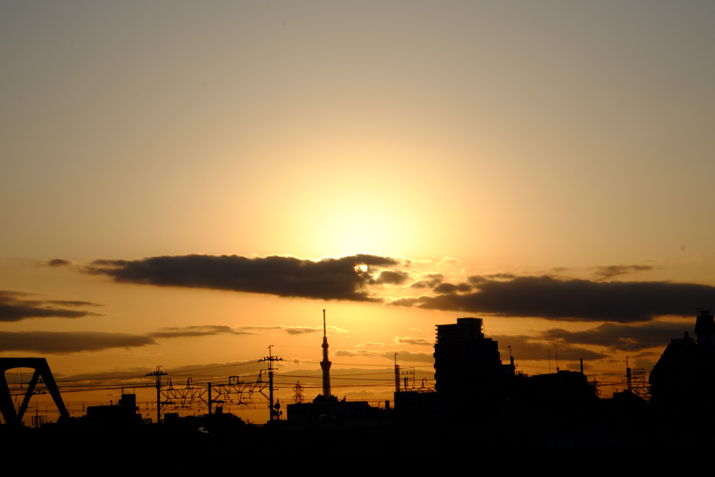江戸川夕景
