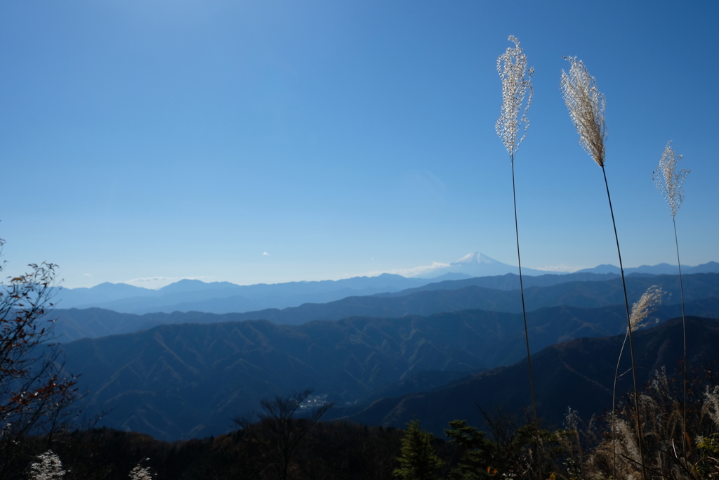 空に揺れる