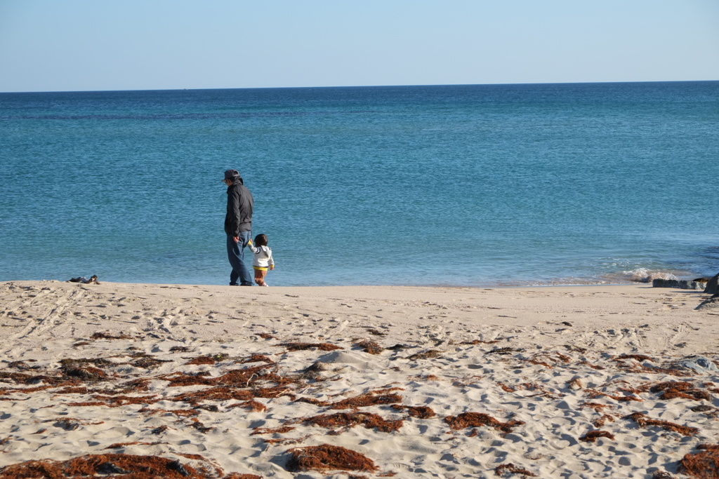 朝の浜辺②