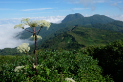 あすは妙高山へ