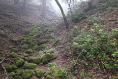 苔むした石の道