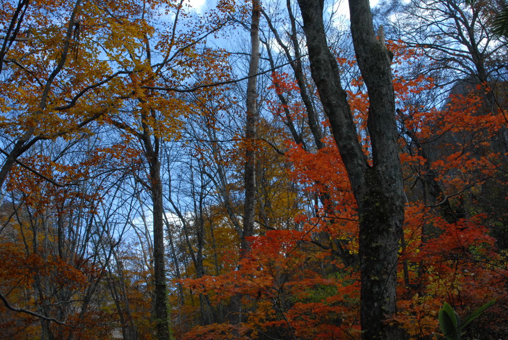 トレッキング日和