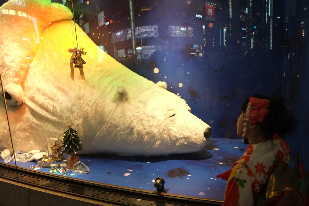 くまさんと晴れ着