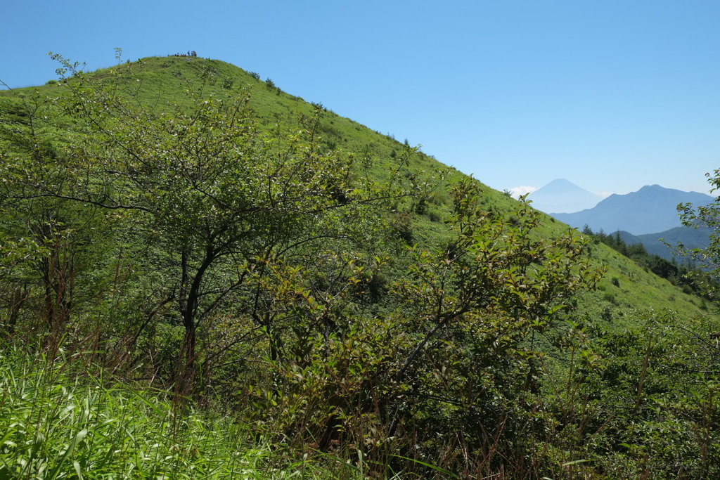 真夏の飯盛山