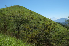 真夏の飯盛山