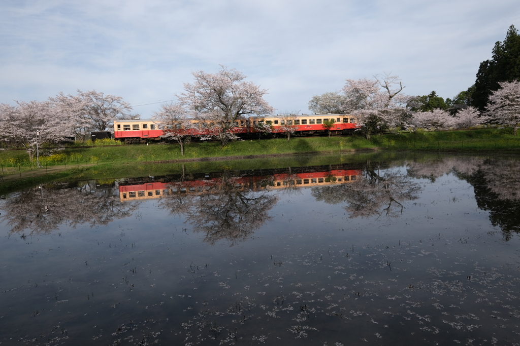 水辺の駅
