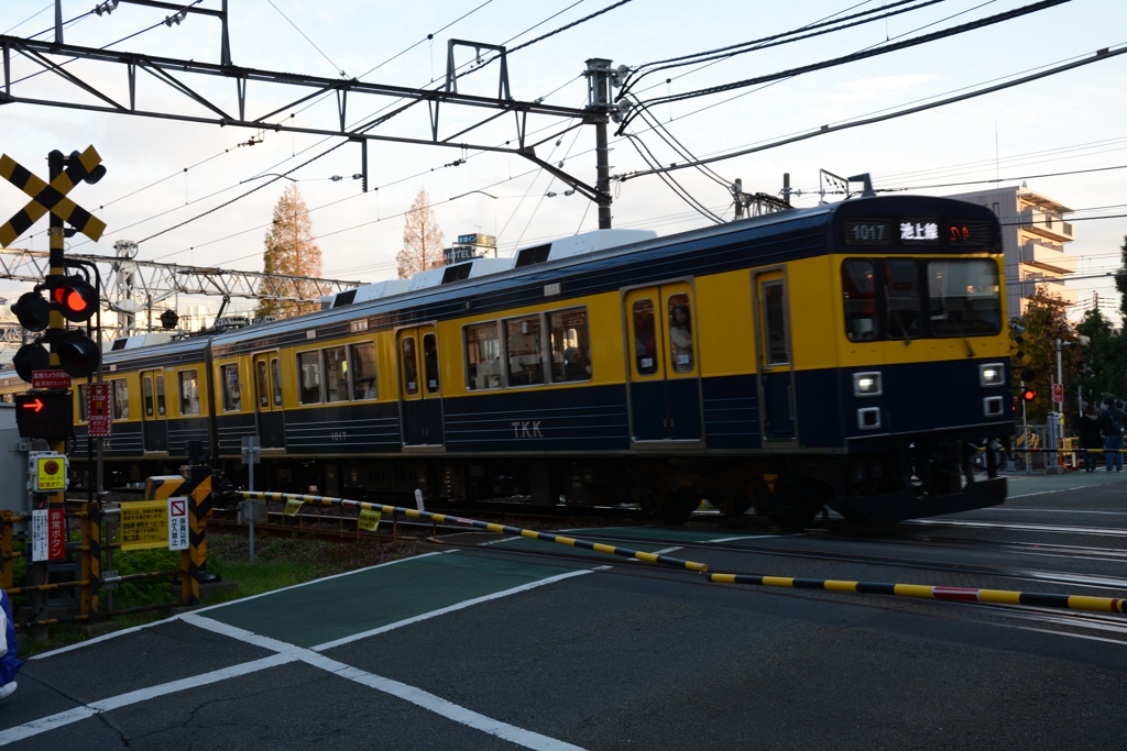 リバイバルカラー