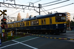 リバイバルカラー