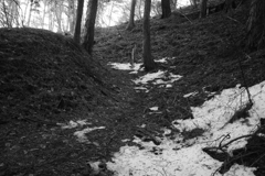 静かな山道を行く