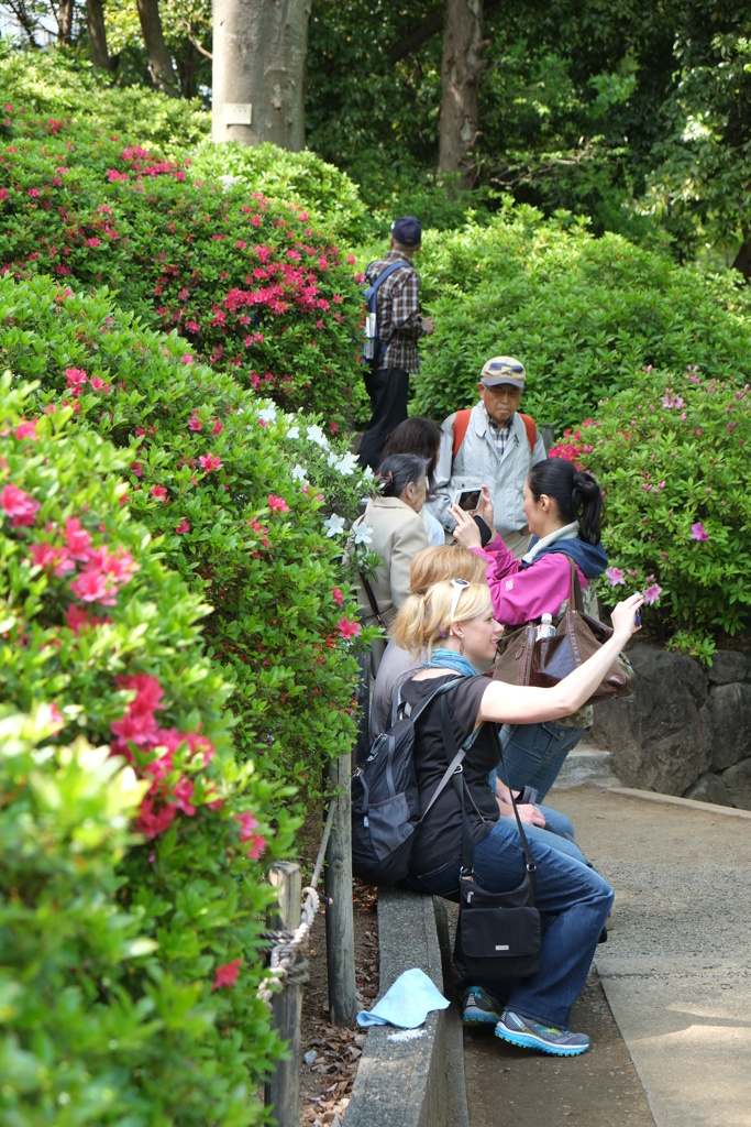 それぞれの楽しみ方