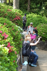 それぞれの楽しみ方