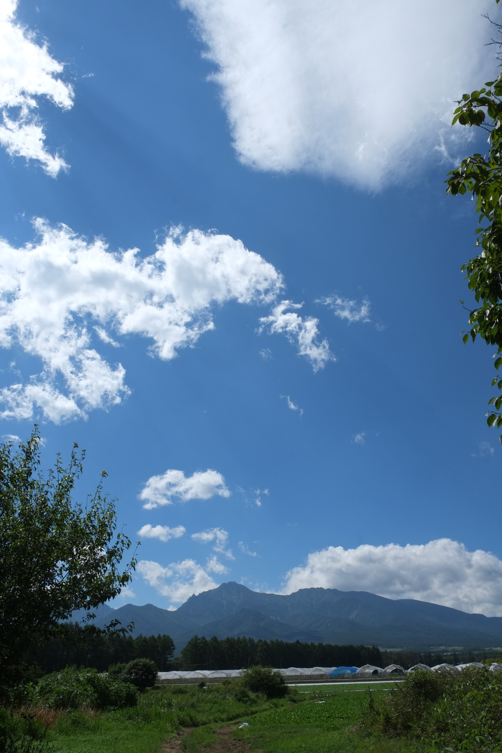 あー！　夏休み～