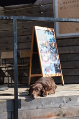 店番もあと少し