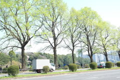 ハイキーシティ