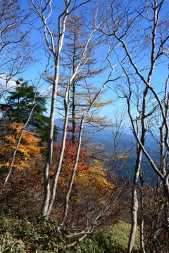 青空をバックに