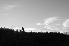 DSCF1242